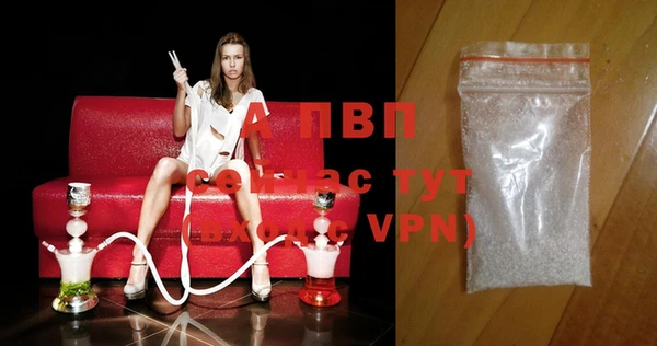 мяу мяу мука Новозыбков