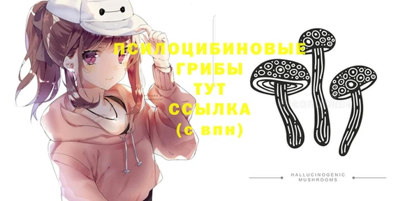 мяу мяу мука Новозыбков