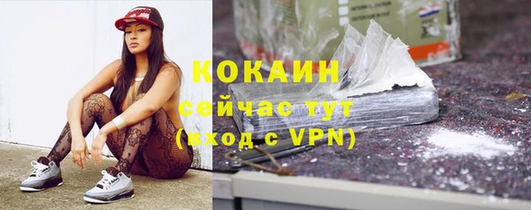 мяу мяу мука Новозыбков