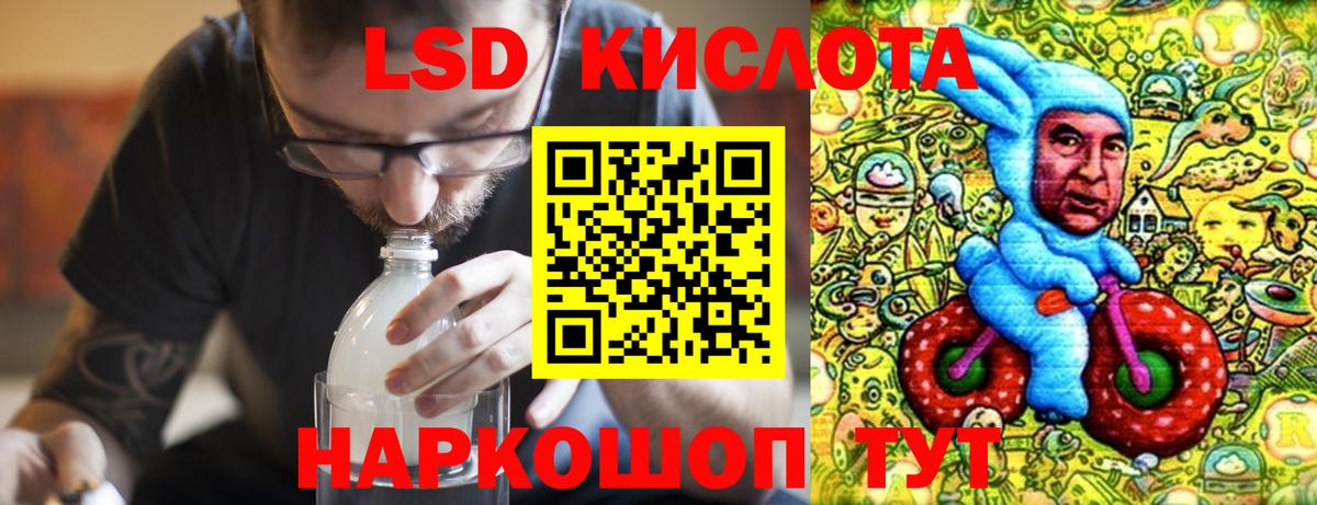 Псилоцибиновые грибы Чебоксары
