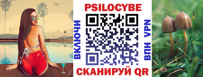 Галлюциногенные грибы Cubensis  мега онион  Чебоксары 