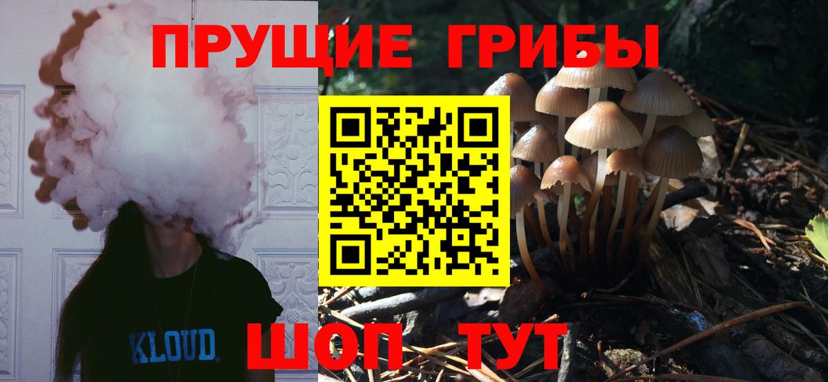 Псилоцибиновые грибы прущие грибы Чебоксары