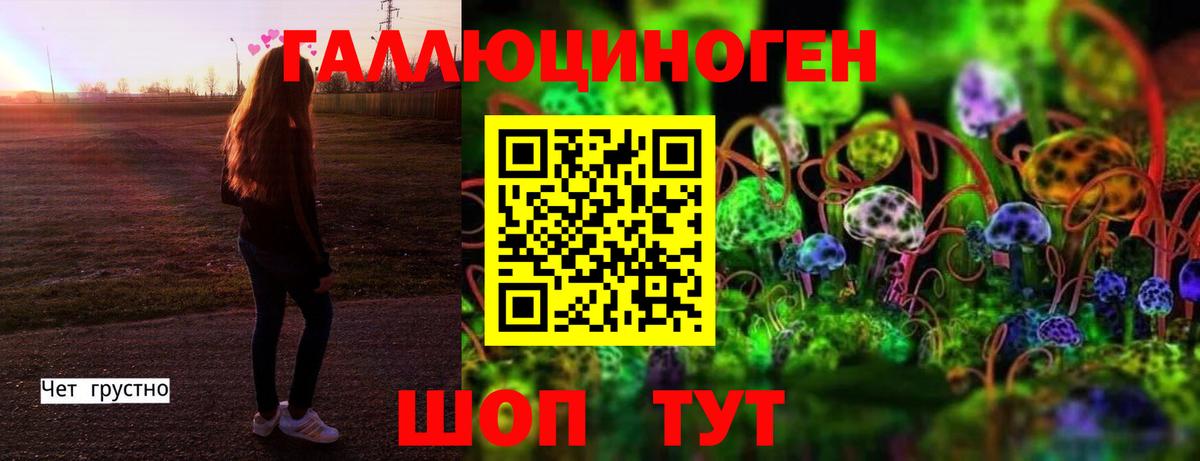 Чебоксары  Галлюциногенные грибы Magic Shrooms  Галлюциногенные грибы Cubensis  купить   Вход с VPN 